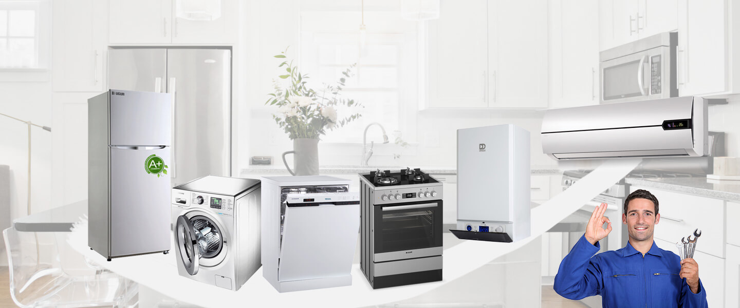 Ezine Dominox Servisi